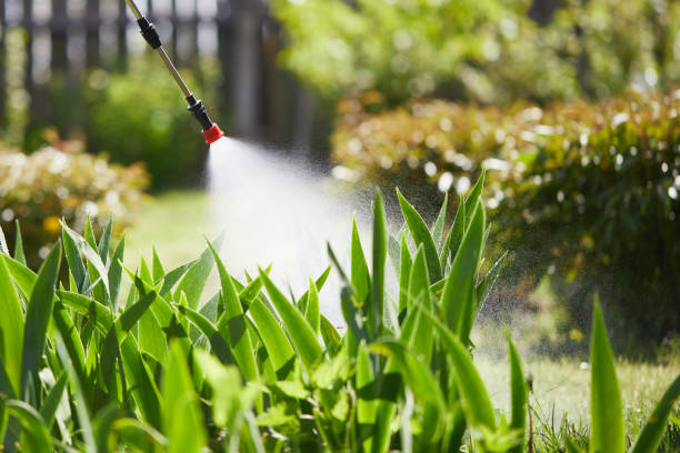Tamper-Resistant Bait Stations for Rodents in Holdrege