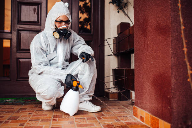 Attic and Crawl Space Rodent Treatment in Holdrege