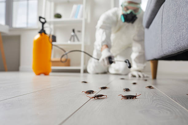 Commercial Rodent Management in Holdrege